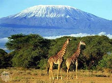 Two Haileyburians to climb Mt Kilimanjaro